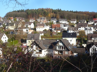 Im Sauerland  Natur