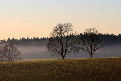Novembertag Novembertag