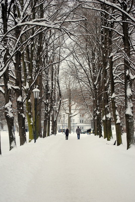 Winterlicher Weg im Schloßgarten Arnstadt