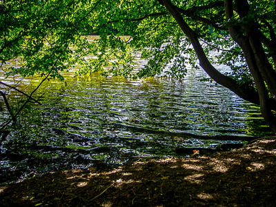 Es lächelt der See ...