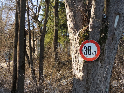 30 km/h Baum