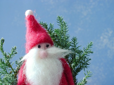 Weihnachtsmann im Winterwald . . .