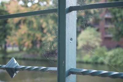 Geländer mit Spinnennetz
