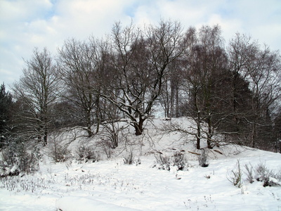 Winterlandschaft-2
