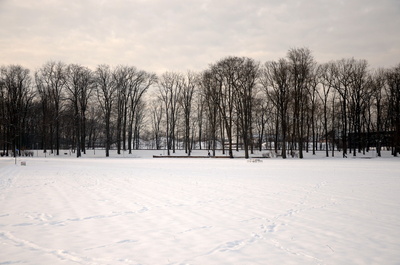 Ein Blick auf Winter-Landschaft