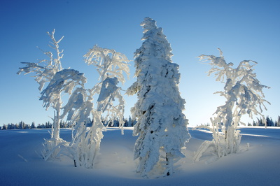 frostlandschaft