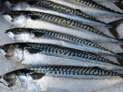Auf dem Fischmarkt in Norwegen