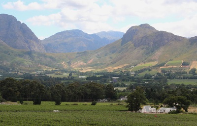 Südafrika - Weinregion Stellenbosch