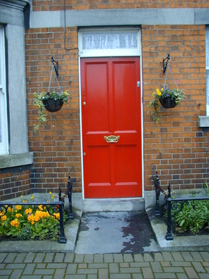 Haustür in Dublin, Doors of Dublin