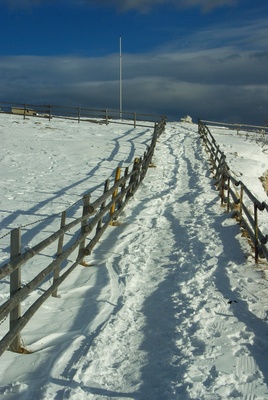 Wo führt der Weg hin?