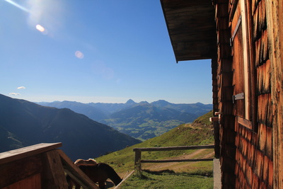 Pinzgauer Alpen