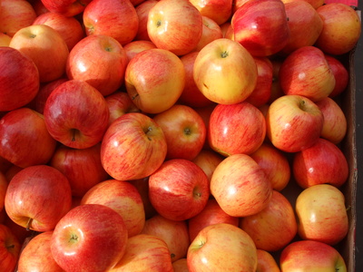 Äpfel sind knackig und gesund