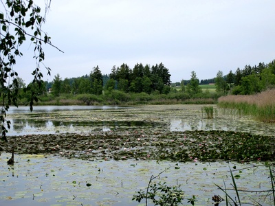 Am Volzer See