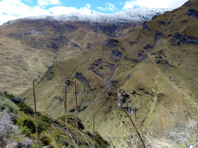 Skippers Canyon NZ 2