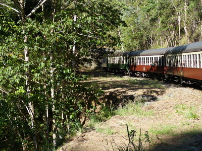 Urwald-Eisenbahn 4
