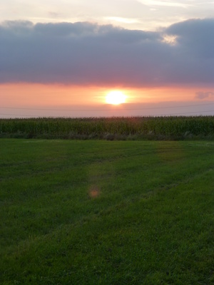 Abendsonne über der Wesermarsch