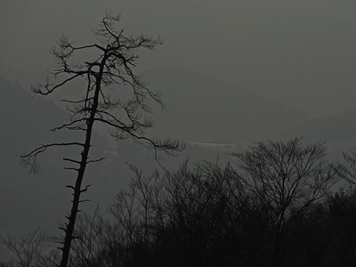 Wintertristesse Wintertristesse