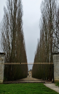 Allee bei Versailles