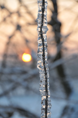 Eiszapfen bei Sonnenaufgang