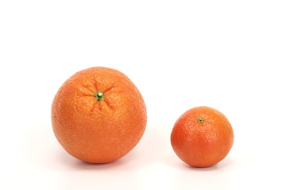 Apfelsine 4