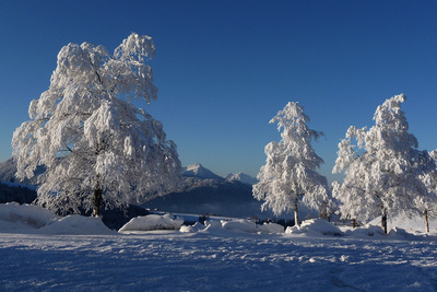 Die Zentralschweiz im Winter