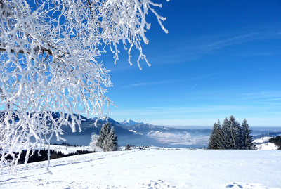 Eisig - die Schweiz in der Hand des Winters