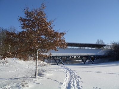 Winter am Echinger See