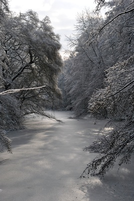 Weiher im Winter II