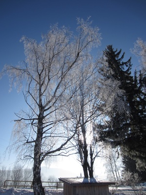 Winterlandschaft