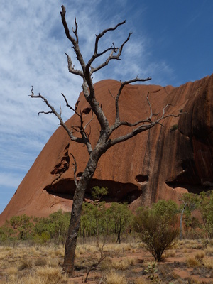Uluru (Detail) 3