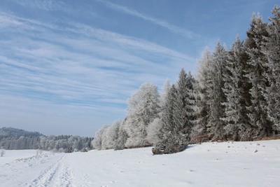 Walken durch die Winterlandschaft