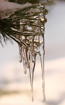Eiszauber Eiszauber