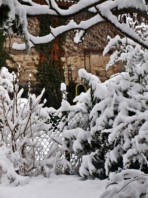 Gartenidyll im Winter