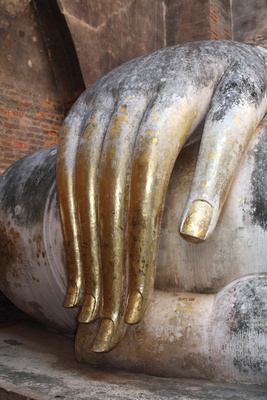 Buddha´s Hand Buddha´s Hand