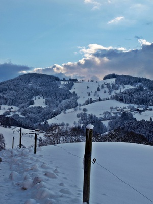 Winterblick im Schwarzwald