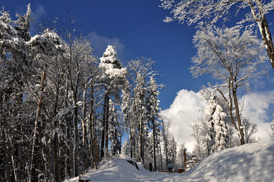 Schneereicher Februar