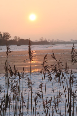 Sonnenuntergang über demFeld