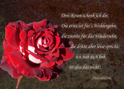 Drei Rosen Drei Rosen