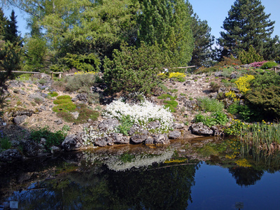 Botanischer Garten-015