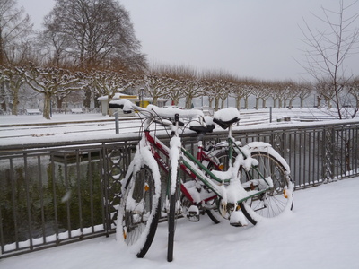 Radfahren am Bodensee im Winter