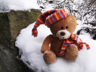 Teddy im Winter