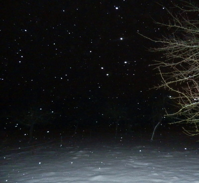 Schneeflocken in der Nacht