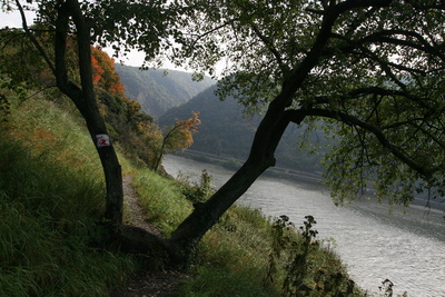 Rheinburgenweg