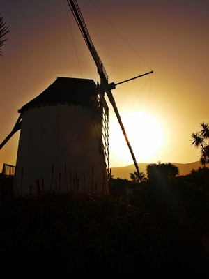 Windmühle im Abendlicht