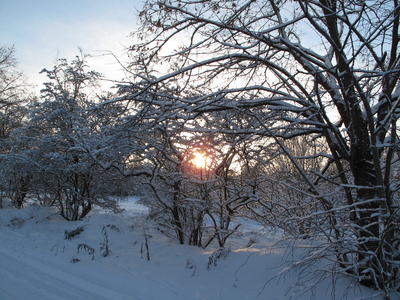 Die Sonne geht auf