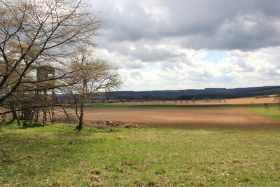 Fränkisches Feld im Frühjahr