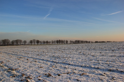 Winterliches Feld