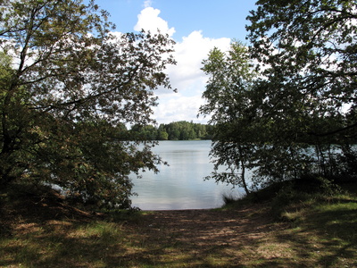 Blick auf den Ellisee