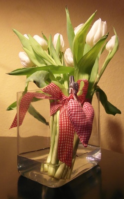 Weiße Tulpen in der Vase