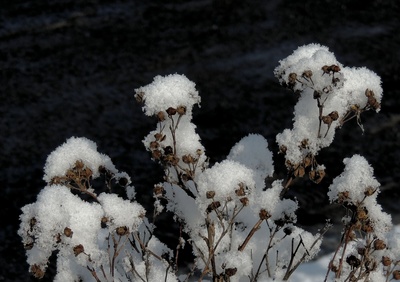 Schneekristalle